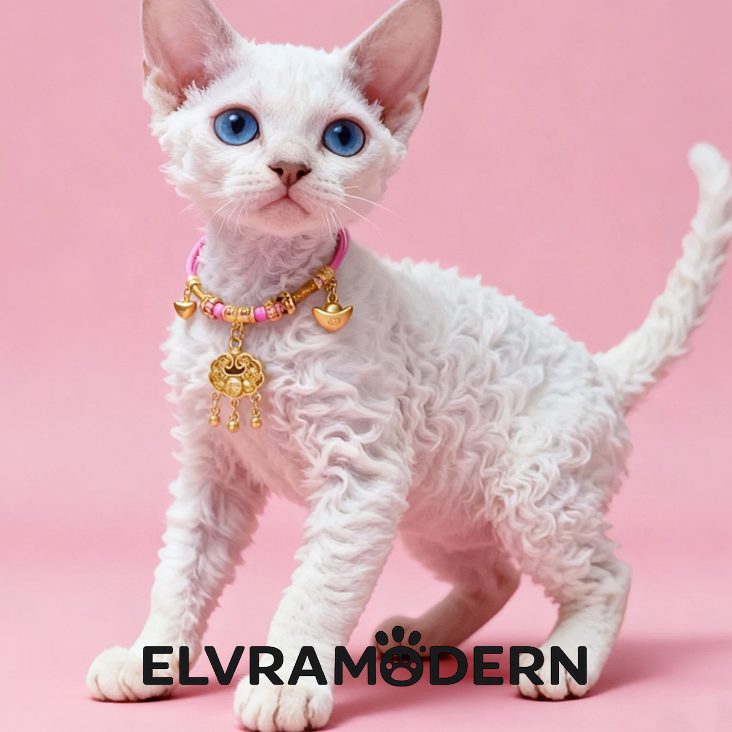 Lucky Red Thread Pet Necklace
