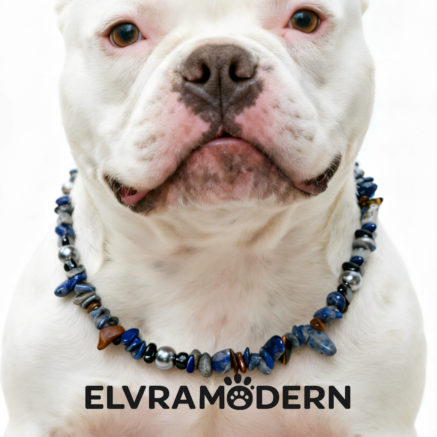 Midnight Lapis Luxe Pet Necklace