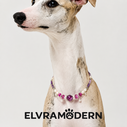 Violet Galaxy Matching Pet & Owner Jewelry Set