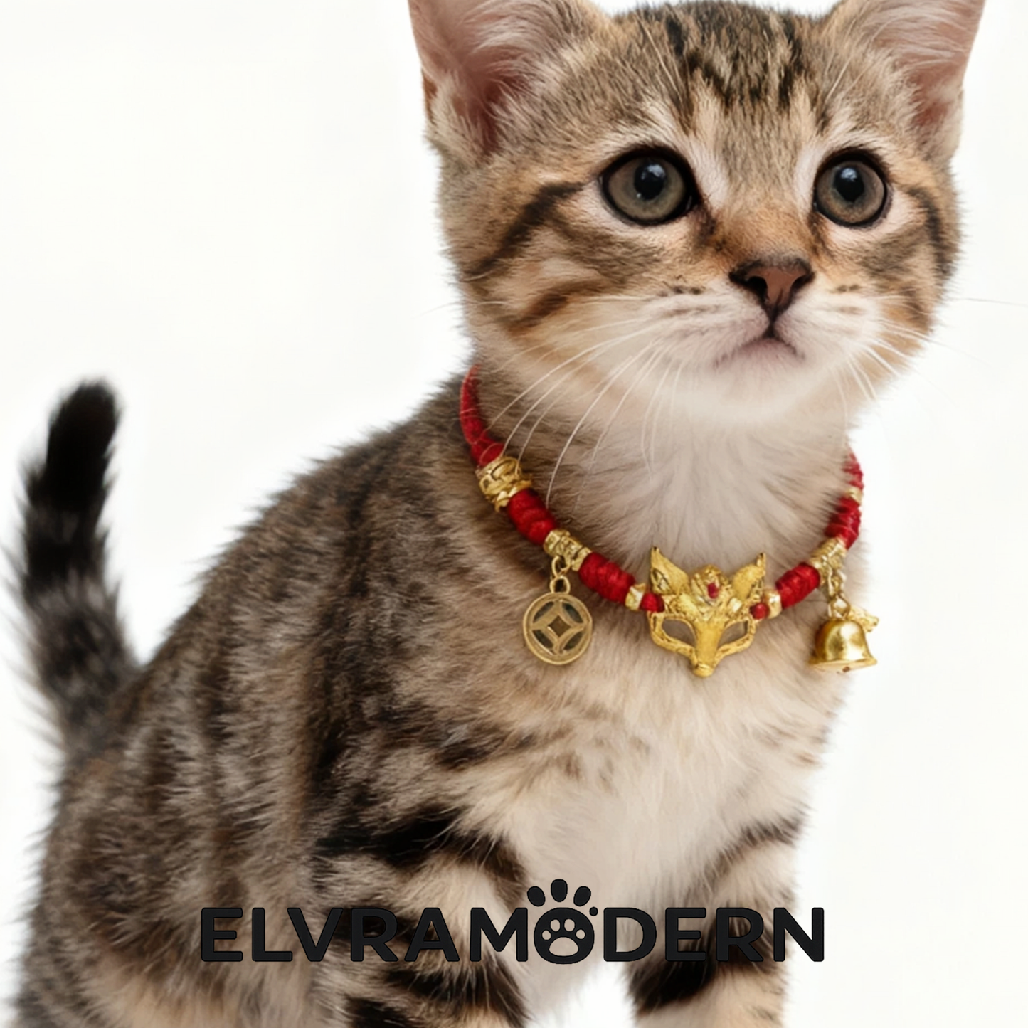 Golden Fortune Red Cord Pet Necklace