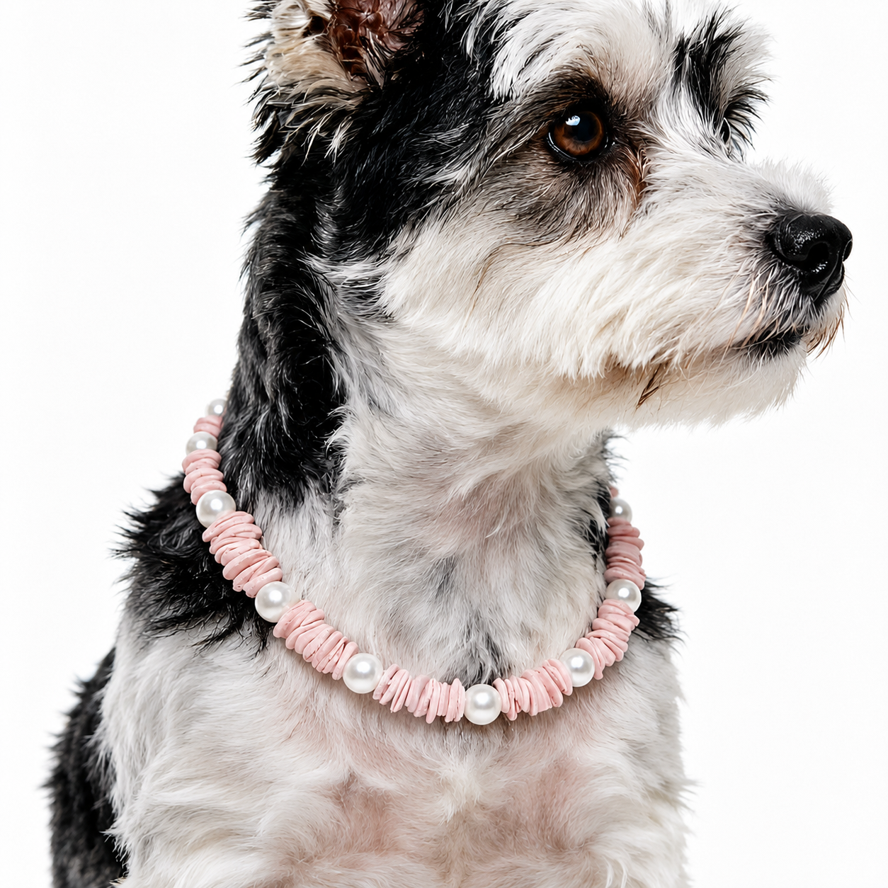Pink Seashell Breeze Pet Necklace