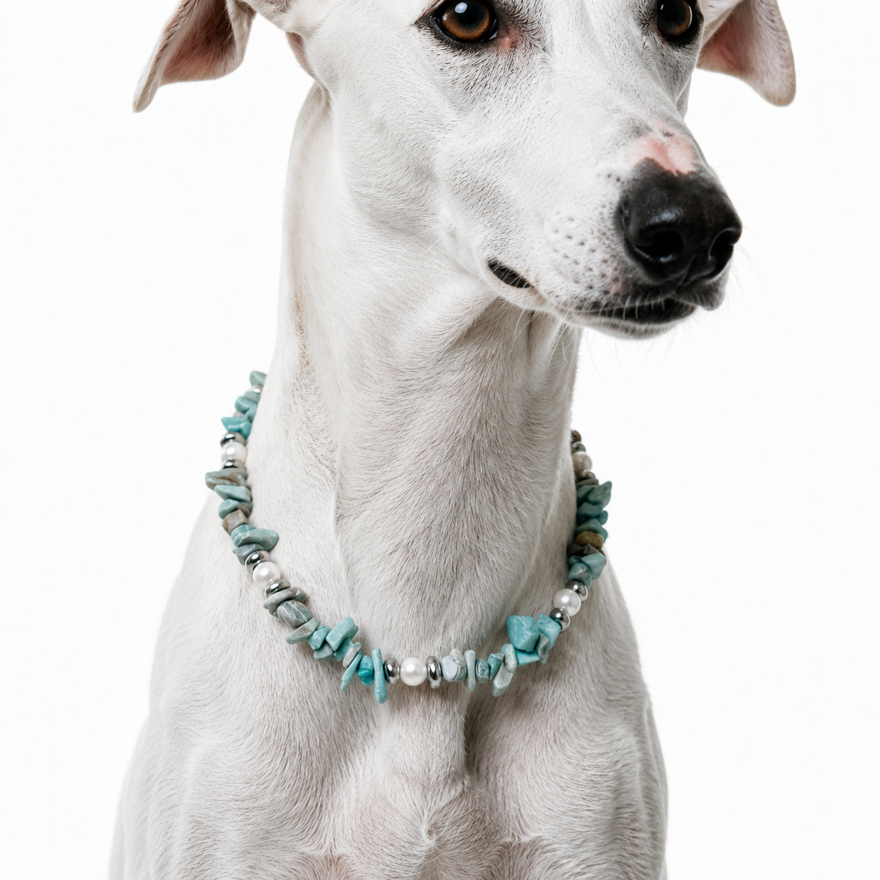 Summer Sorbet Crystal Pet Necklace