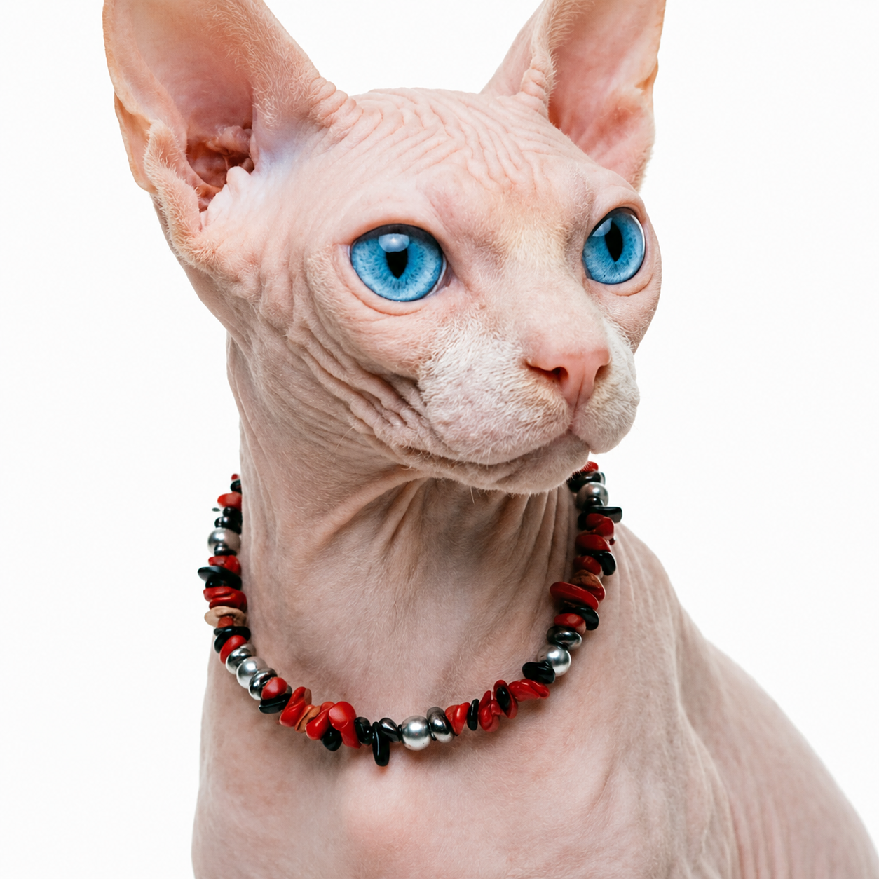 Azure Lapis Charm Pet Necklace
