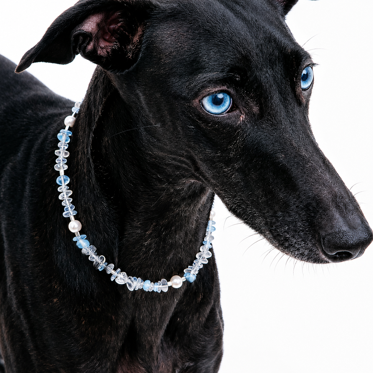 Opaline Glow Pet Necklace