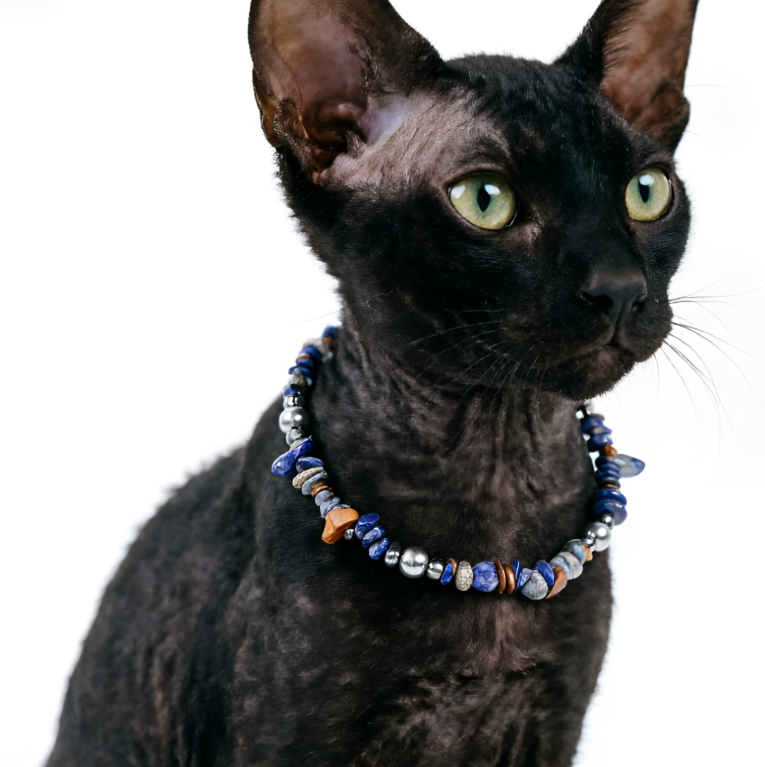 Midnight Lapis Luxe Pet Necklace