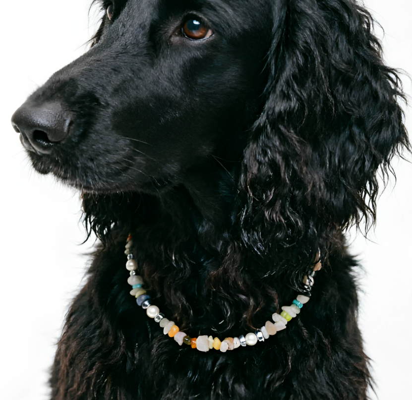 Candy Gemstone Delight Pet Necklace