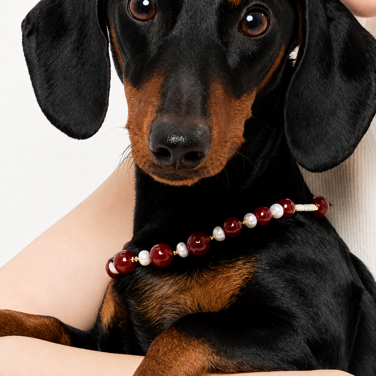 Ruby Starburst Matching Pet & Owner Jewelry Set