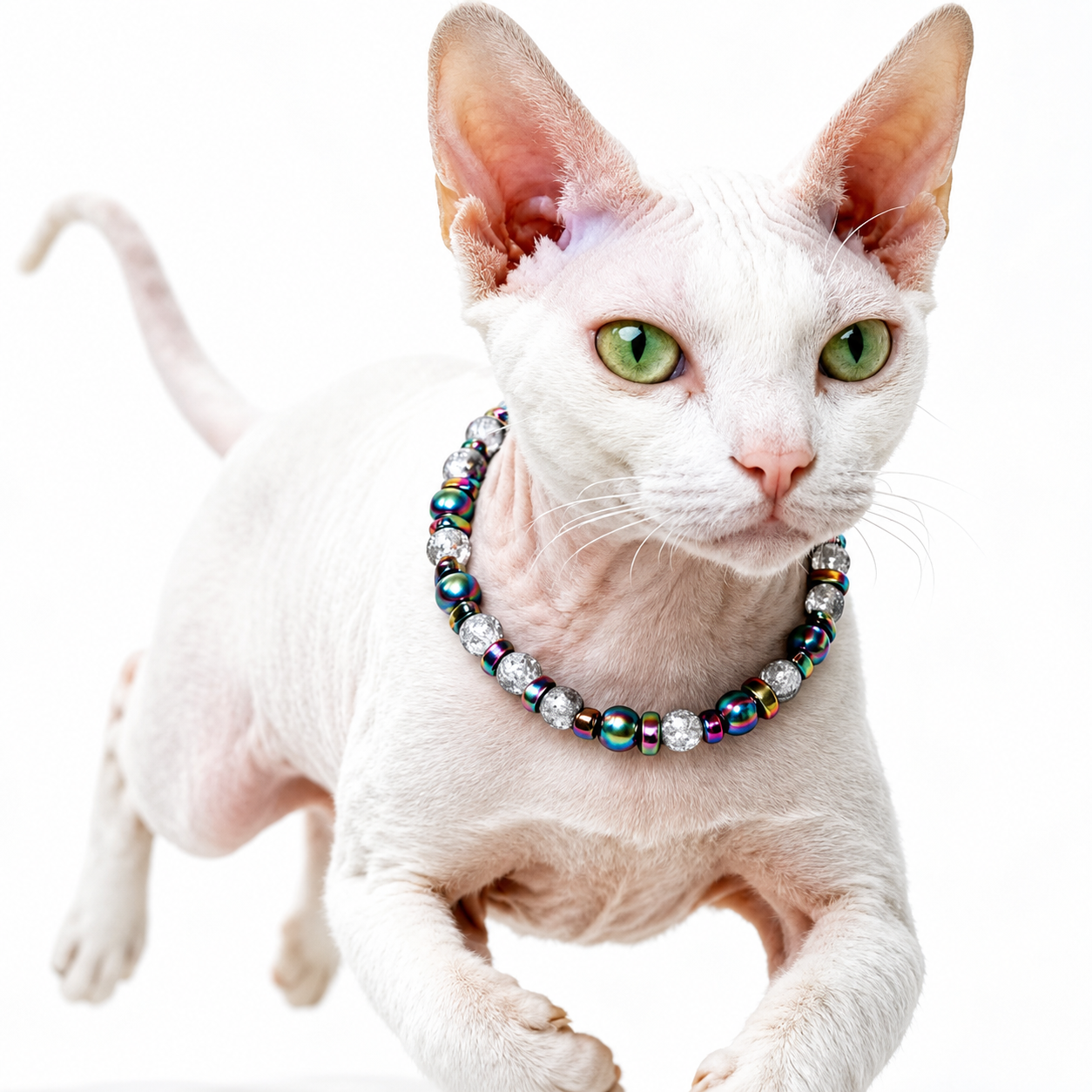Prism Burst Statement Pet Necklace