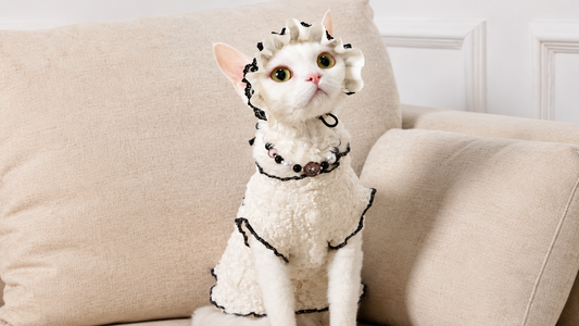 From Pearls to Gemstones: Exploring the Artistry Behind Luxury Pet Accessories
