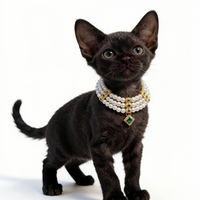 Pharaoh's Treasure Pet Collar