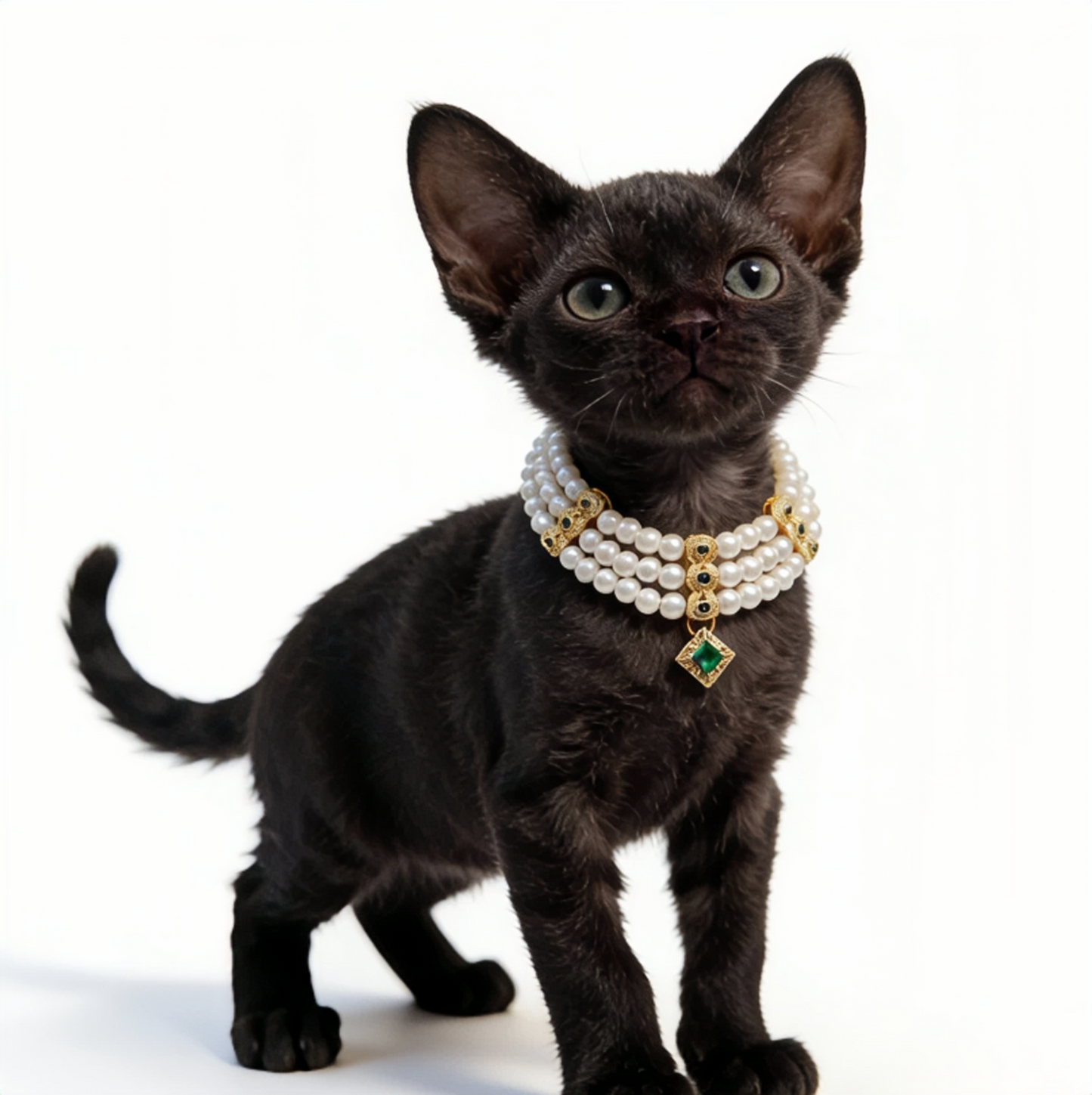 Pharaoh's Treasure Pet Collar