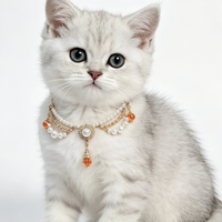 Eastern Blossom Pet Necklace