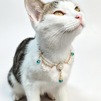 Eastern Blossom Pet Necklace