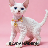 Lucky Red Thread Pet Necklace