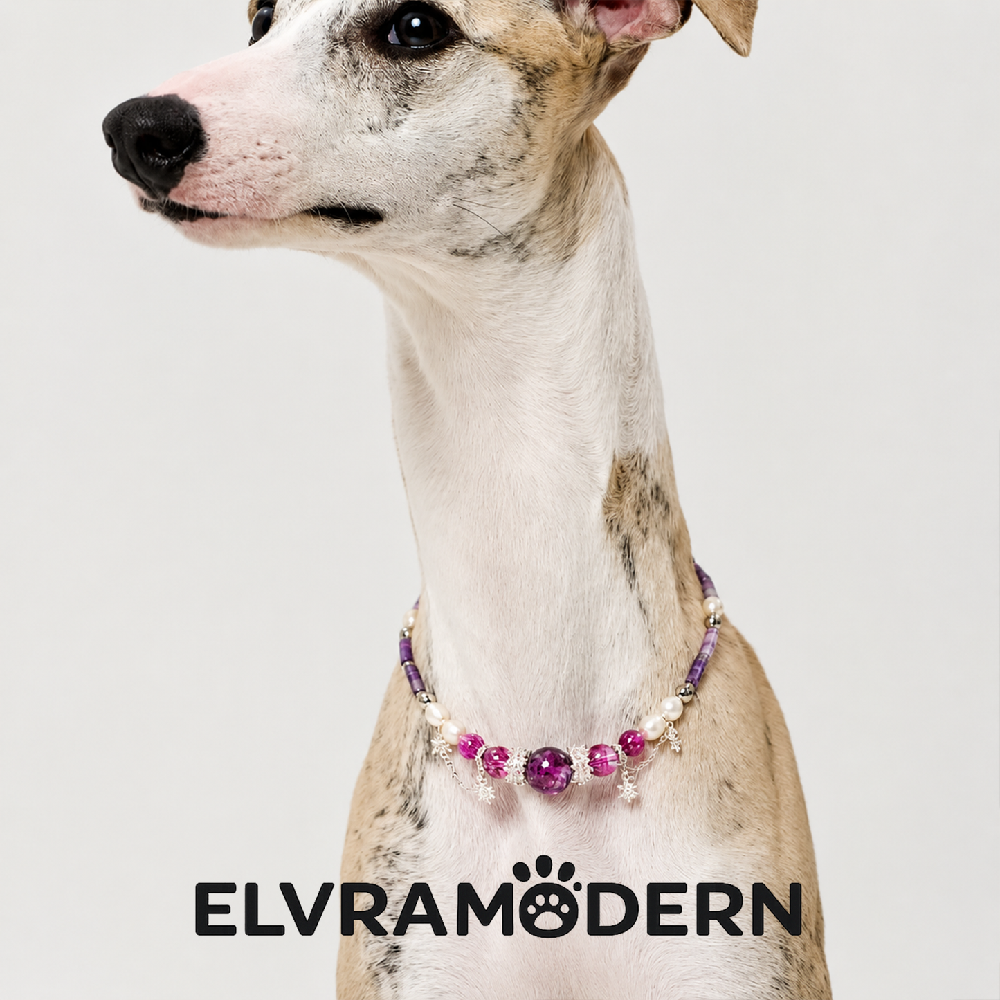 Violet Galaxy Matching Pet & Owner Jewelry Set