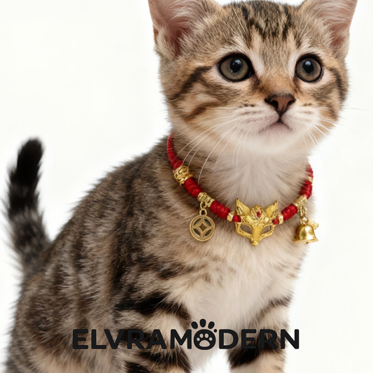 Golden Fortune Red Cord Pet Necklace