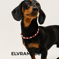 Ruby Starburst Matching Pet & Owner Jewelry Set