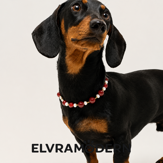 Ruby Starburst Matching Pet & Owner Jewelry Set