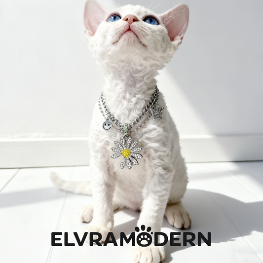 Imperial Tassel Heritage Pet Necklace