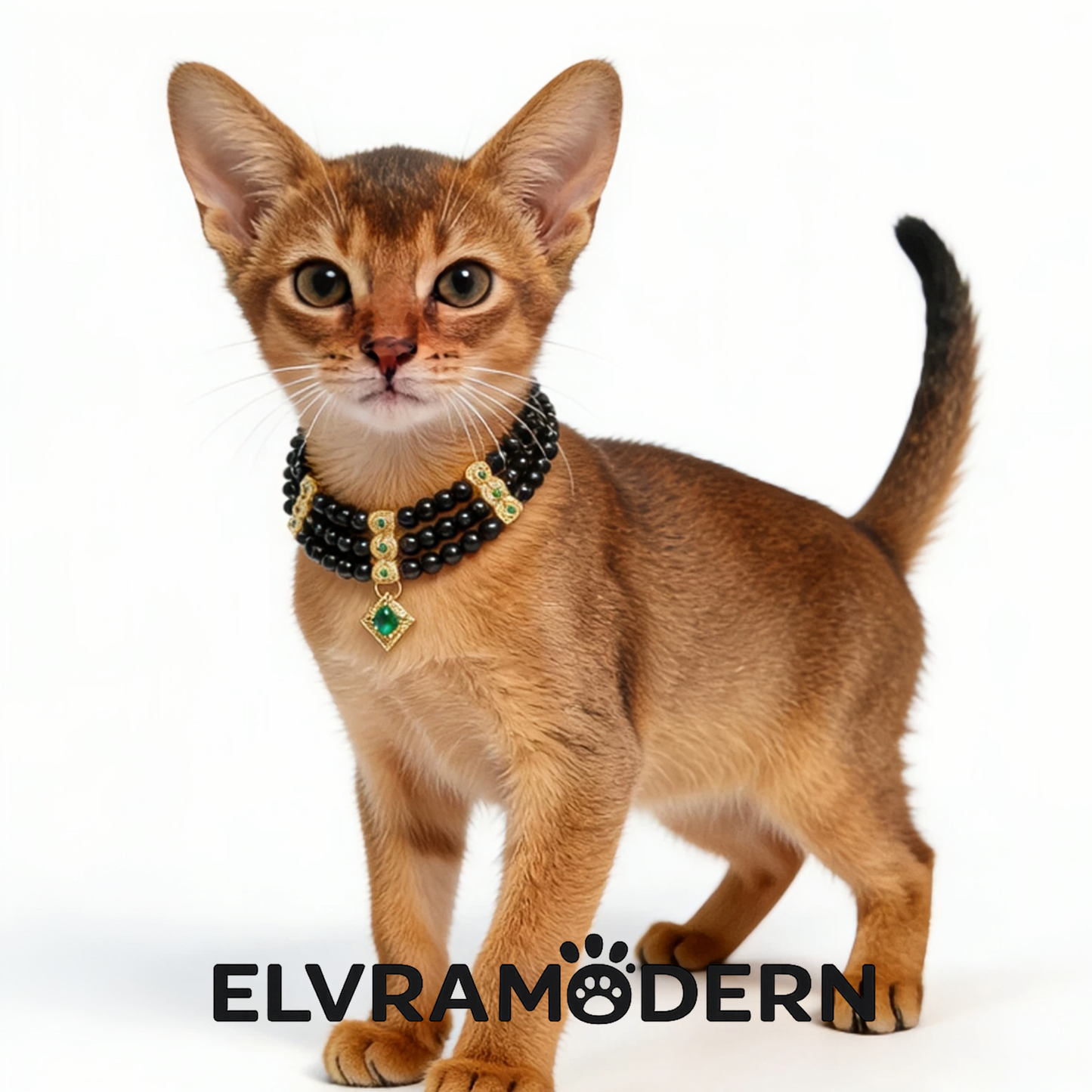 Pharaoh's Treasure Pet Collar