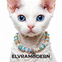 Rainbow Sunshine Shell Pet Necklace