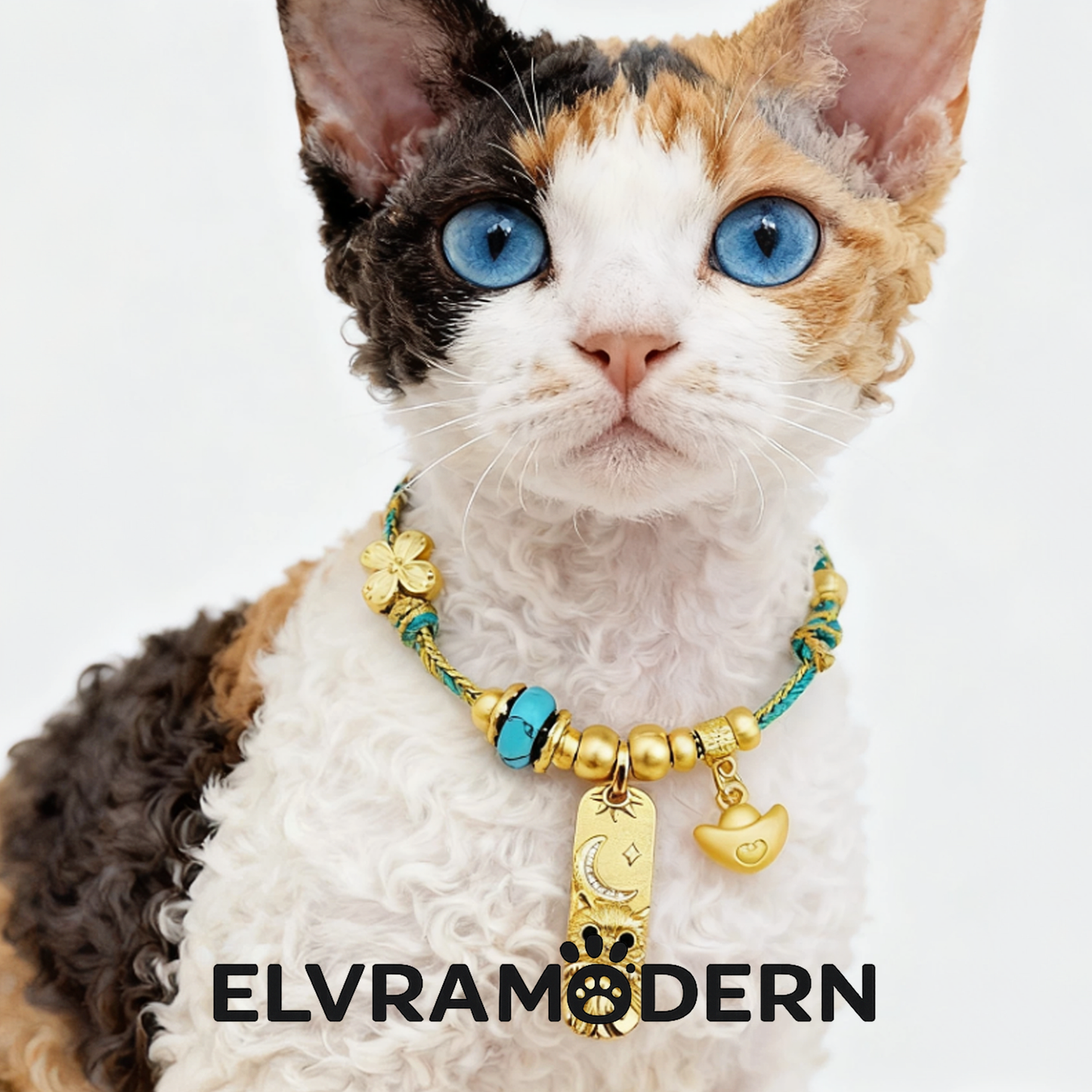 Golden Ingot Blessing Pet Collar