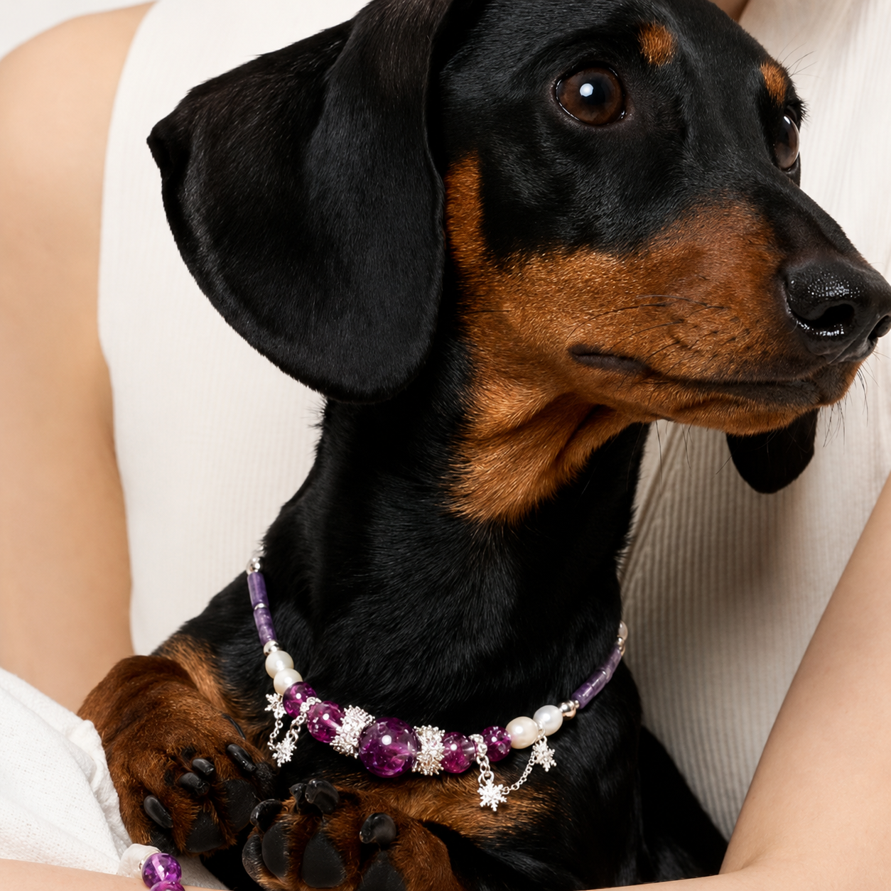 Violet Galaxy Matching Pet & Owner Jewelry Set