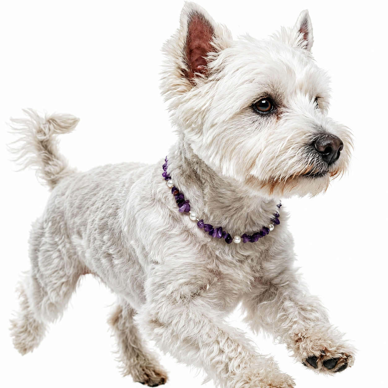 Amethyst Dream Stone Pet Necklace