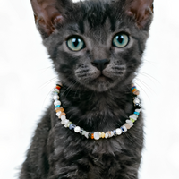 Candy Gemstone Delight Pet Necklace