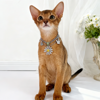 Imperial Tassel Heritage Pet Necklace