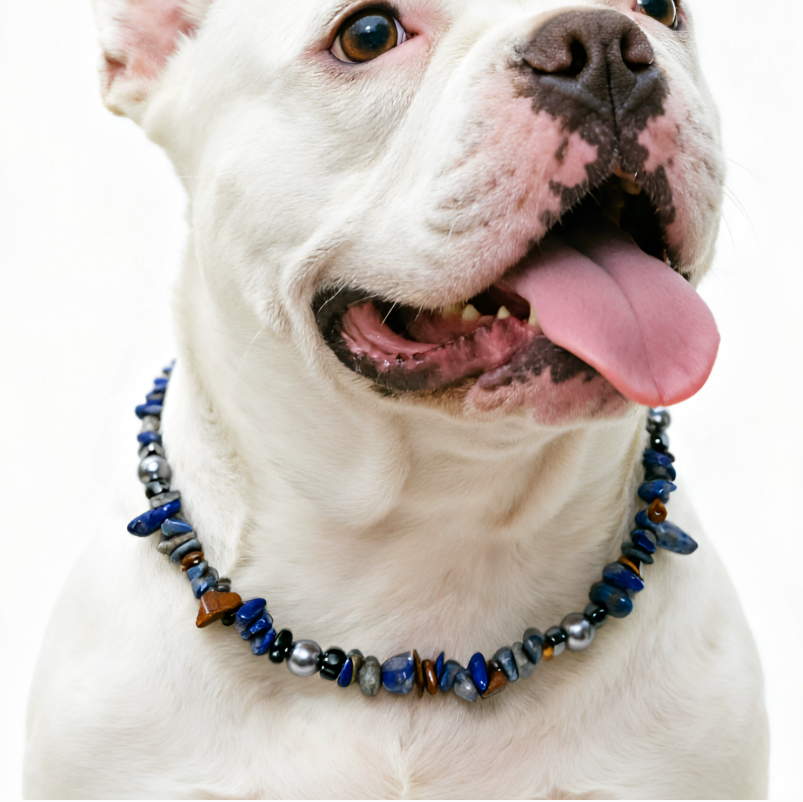 Midnight Lapis Luxe Pet Necklace