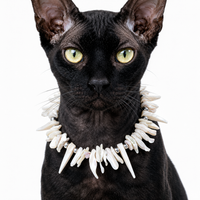 Classic Pearl Essence Pet Necklace