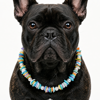 Rainbow Sunshine Shell Pet Necklace