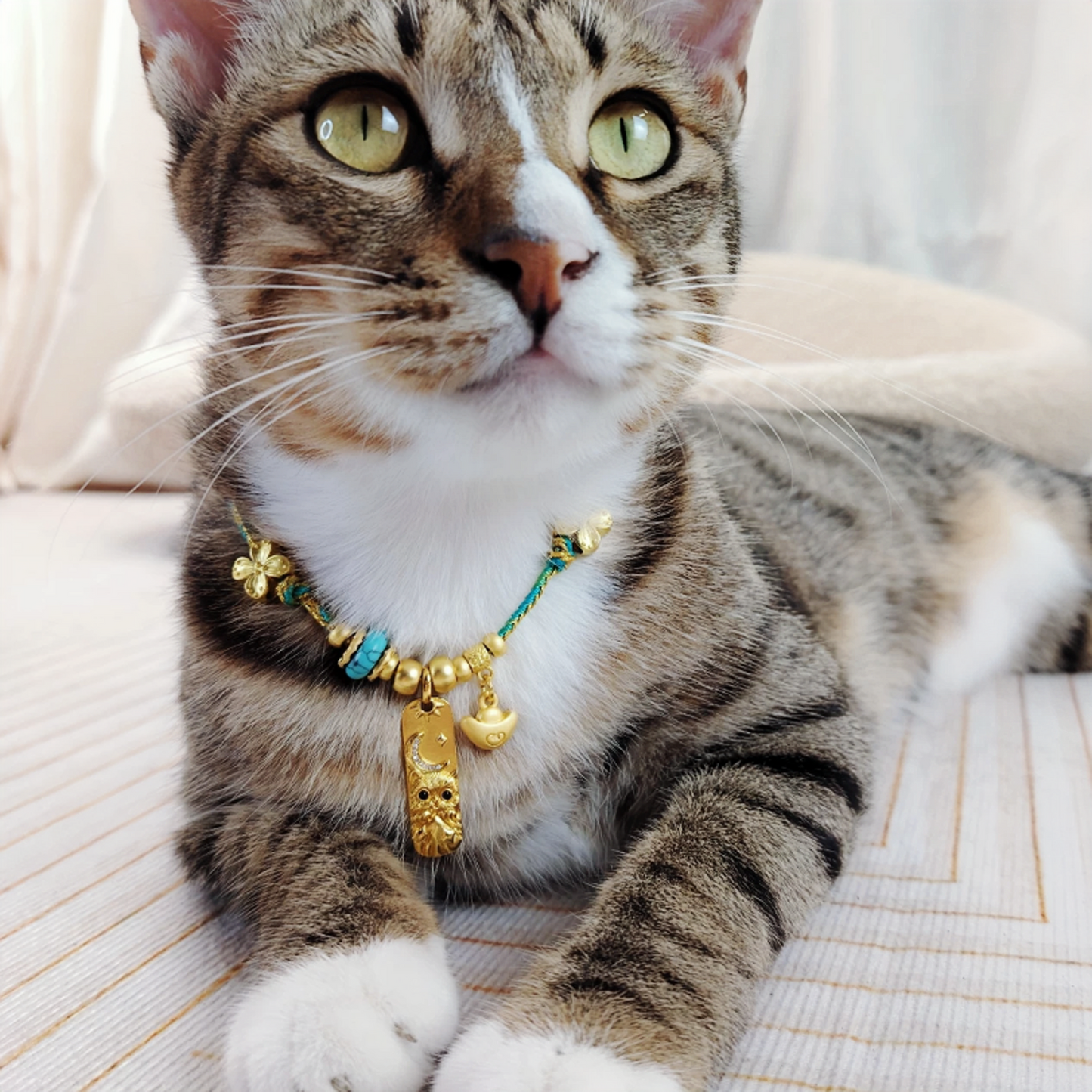 Golden Ingot Blessing Pet Collar