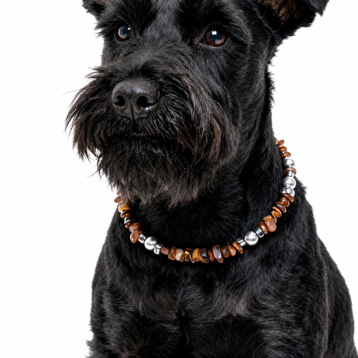 Desert Dune Sandstone Pet Necklace