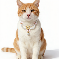 Blue Island Stardust Matching Pet & Owner Jewelry Set