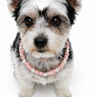 Pink Seashell Breeze Pet Necklace