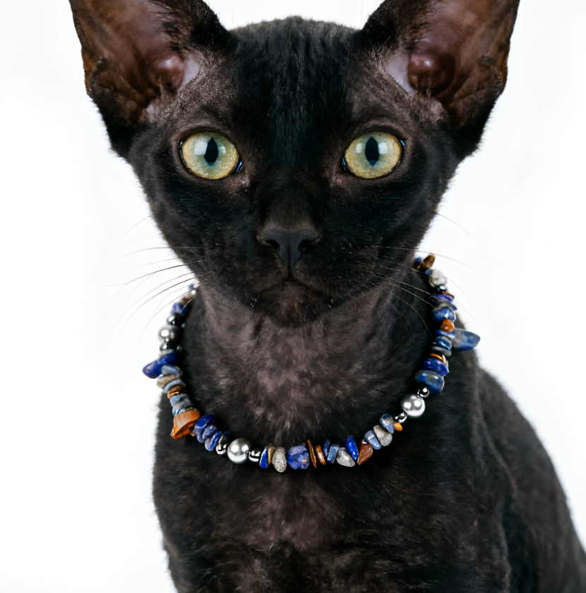 Midnight Lapis Luxe Pet Necklace
