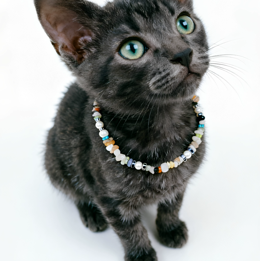 Candy Gemstone Delight Pet Necklace