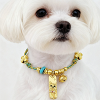 Golden Ingot Blessing Pet Collar