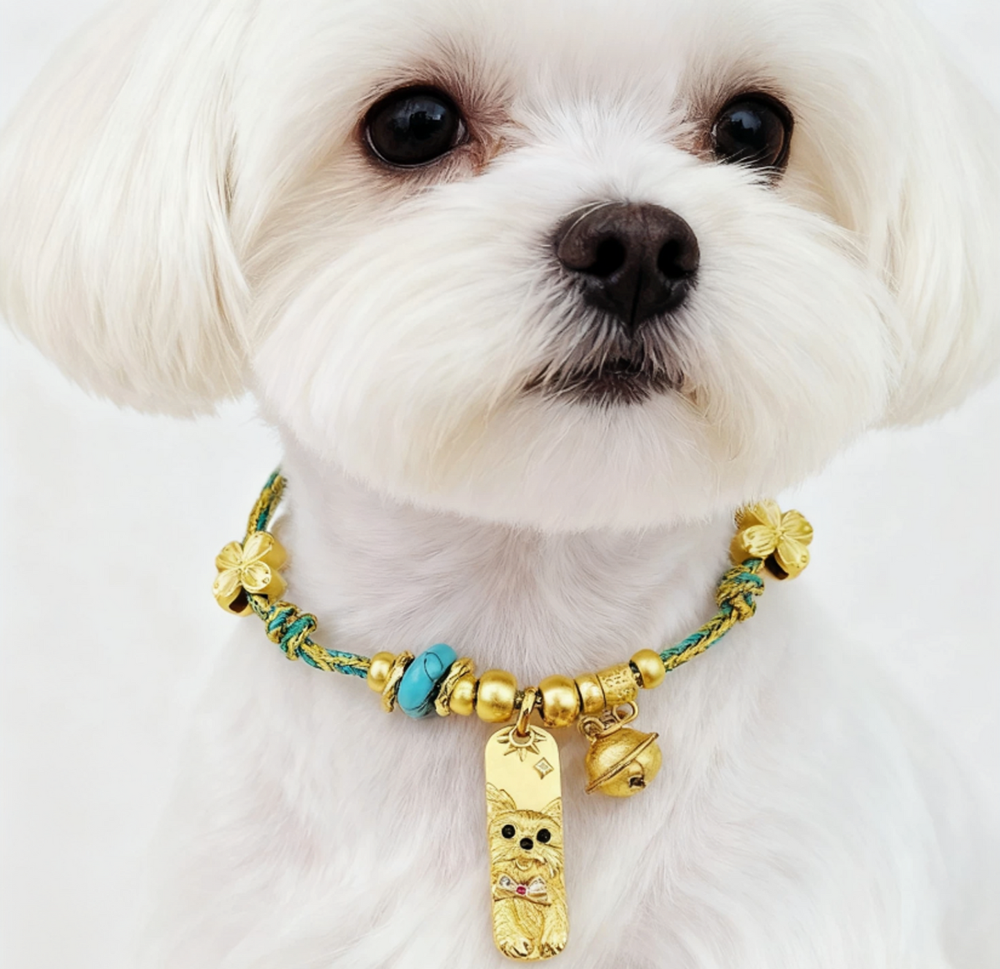Golden Ingot Blessing Pet Collar