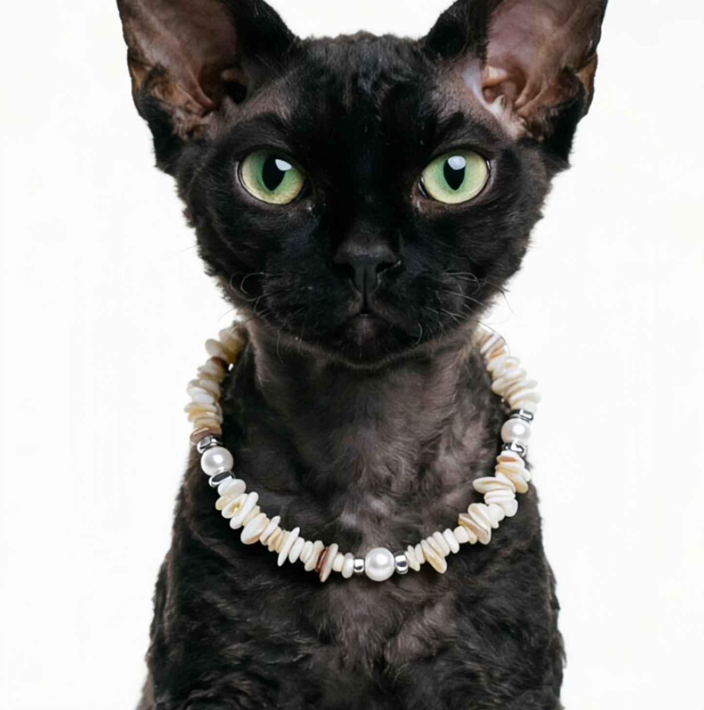 Ocean Treasure Shellstone Pet Necklace