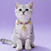 Lucky Red Thread Pet Necklace