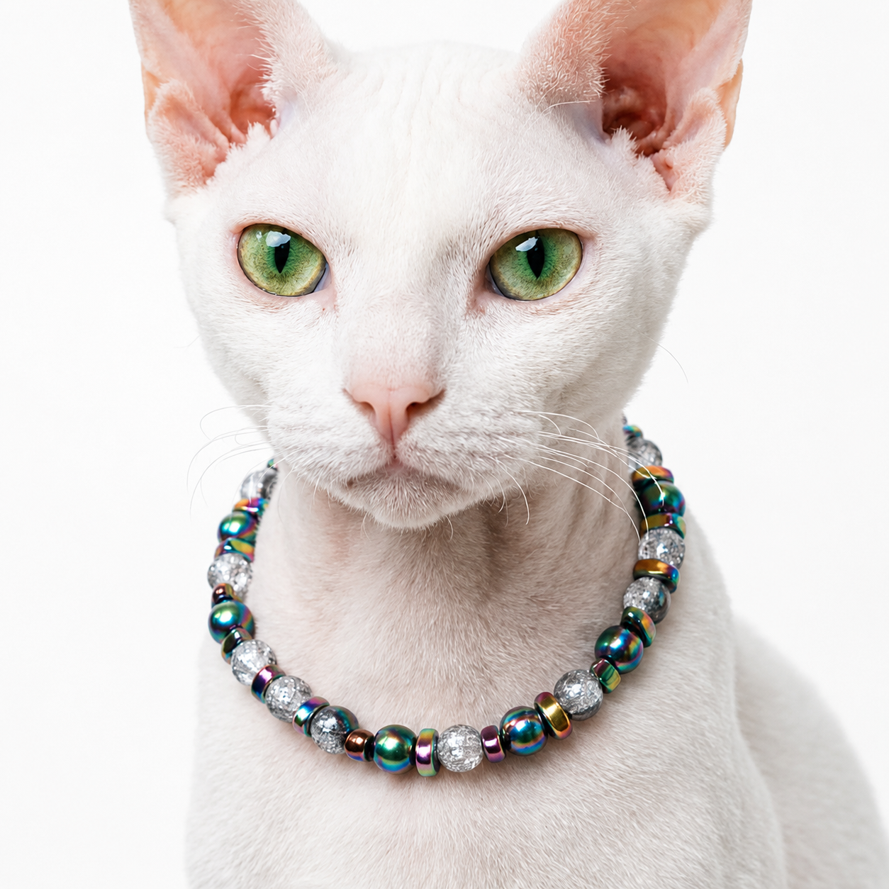 Prism Burst Statement Pet Necklace