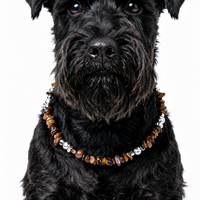 Desert Dune Sandstone Pet Necklace