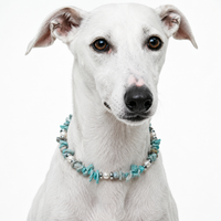Summer Sorbet Crystal Pet Necklace