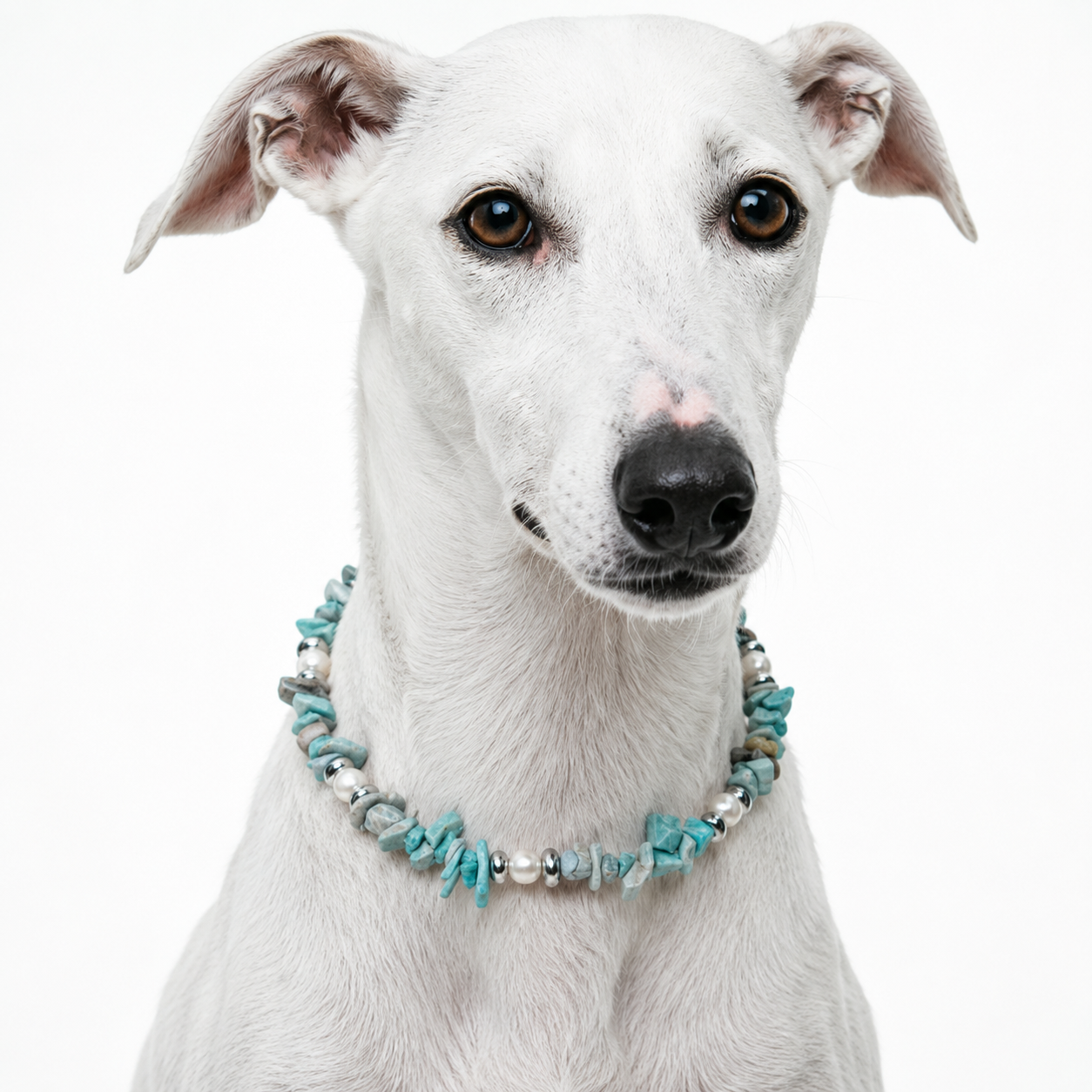 Summer Sorbet Crystal Pet Necklace