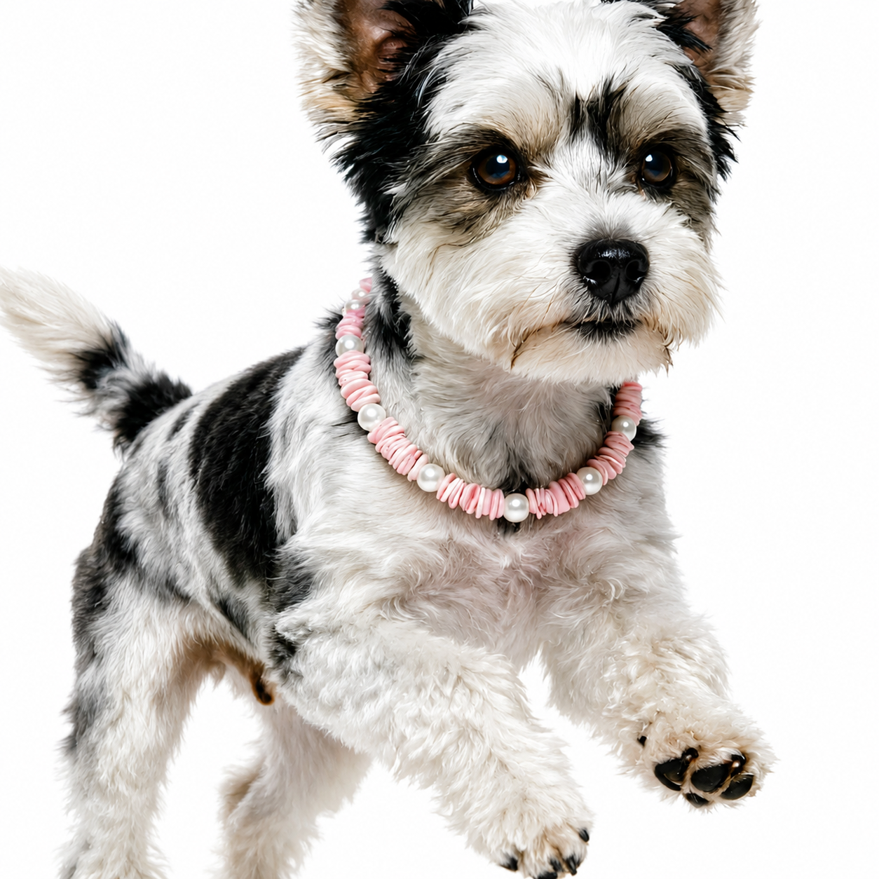 Pink Seashell Breeze Pet Necklace