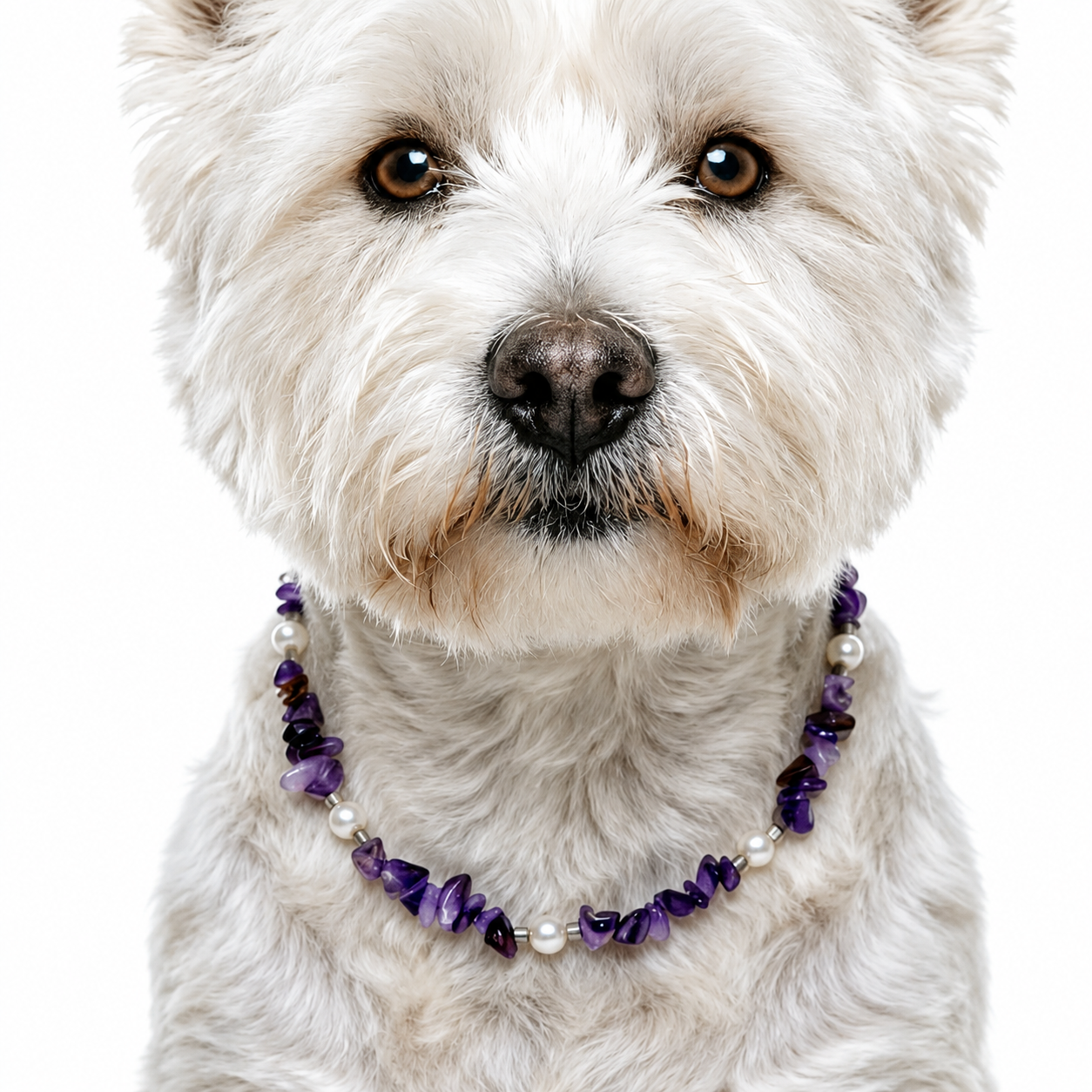 Amethyst Dream Stone Pet Necklace