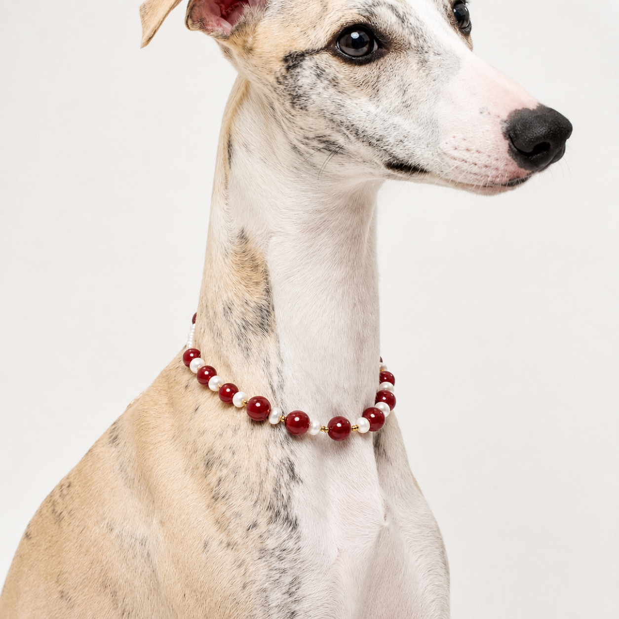 Ruby Starburst Matching Pet & Owner Jewelry Set